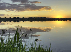 Рыбалка на озере Сенеж в Московской области