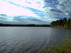 Озеро Сенное (Ленинградская область)