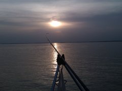Техника ловли белуги - основные моменты