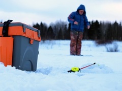 Как важна для рыбака правильная прикормка на карася зимой