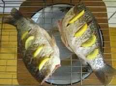 Голавли, запечённые в золе – рыбные рецепты