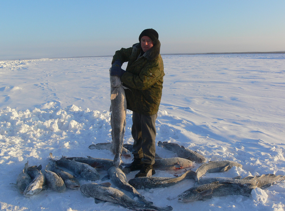 рыбалка на севере зимой налима