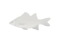Амурский тигр - Panthera tigris altaica