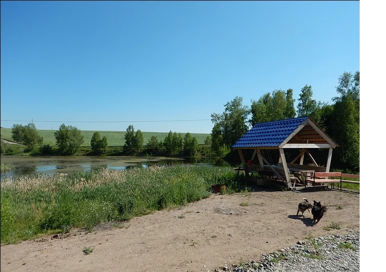 Лыткинский пруд шушенский район фото домиков