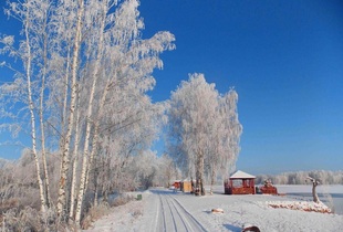 Красивый зимний пейзаж Клуб Ихтиолог