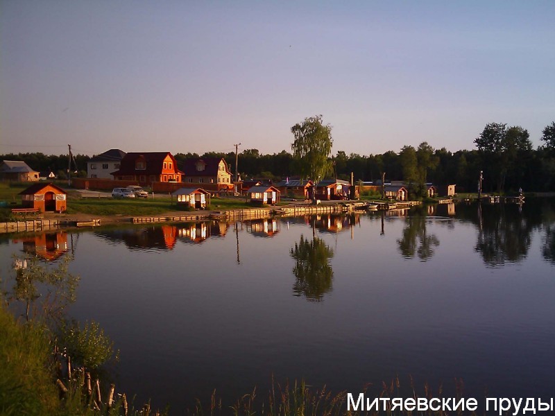 Рыбалка в боровском районе. Митяевские пруды Калужская область. Митяевские пруды рыбалка. Уваровские пруды Калужская область.