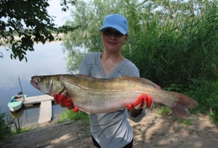 Трофеи Рыбалка База Золотая Дельта, Астрахань (22)