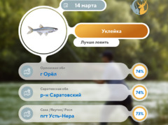 Где 14 марта 2026 года лучше всего ловить рыбу 