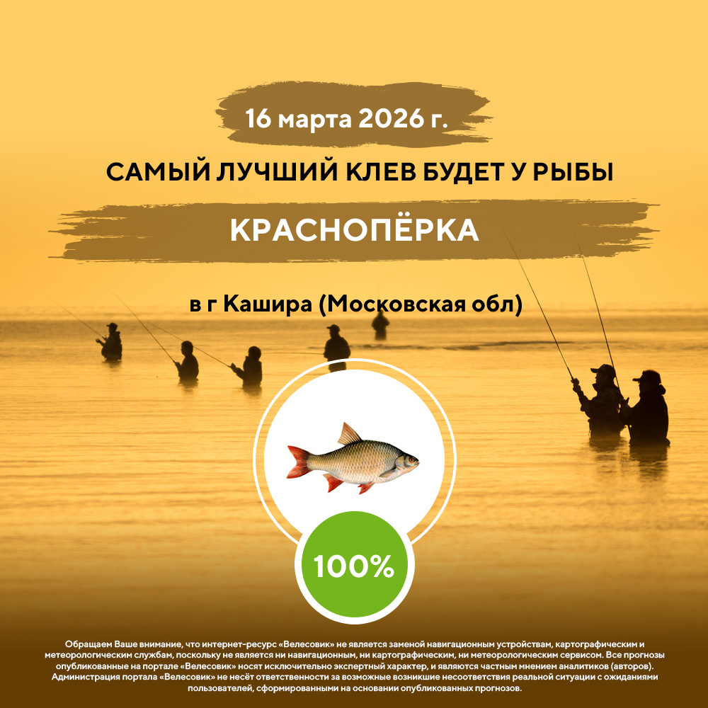 Заголовок новости