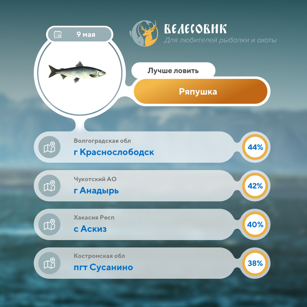 Заголовок новости