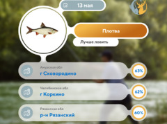Где рыба 