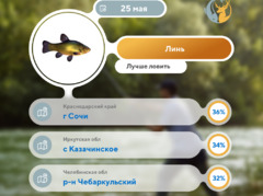 Где рыбу 