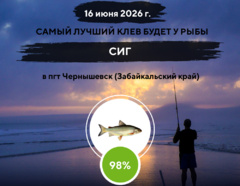 Фантастический клев на 16 июня 2026 года