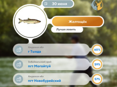 Где рыба 