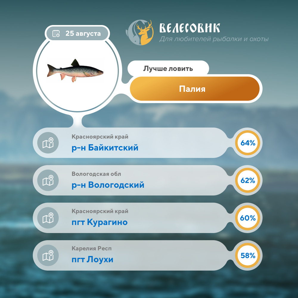 Заголовок новости