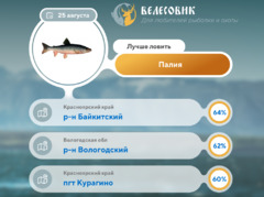 Где рыбу 