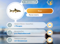 Где рыба 