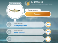 Где 12 октября 2026 года лучше всего ловить рыбу 