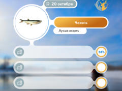 Где рыба 