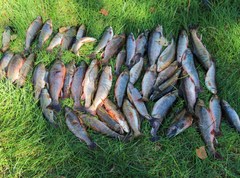 Рыбалка на Сахалине 2018
