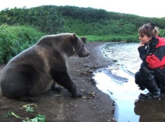 Что делать при встрече с медведем?