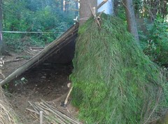 Как построить простой шалаш в лесу: односкатная и двухскатная конструкция