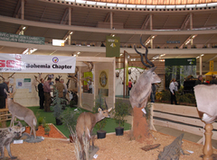 SILVA REGINA BRNO – Международная охотничья выставка. Чехия
