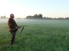 Сроки осенней охоты в Московской области 2019