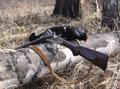 Сроки осенней охоты в Ленинградской области