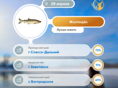 Где рыбу 