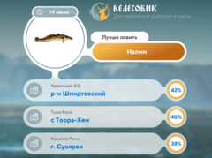 Где 19 июня 2025 года лучше всего ловить рыбу 