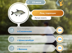 Где рыбу 