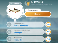 Где рыба 