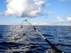 Рыбалка на Псковском озере в Псковской области