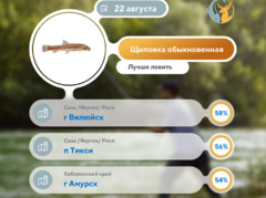 Где 22 августа 2025 года лучше всего ловить рыбу 