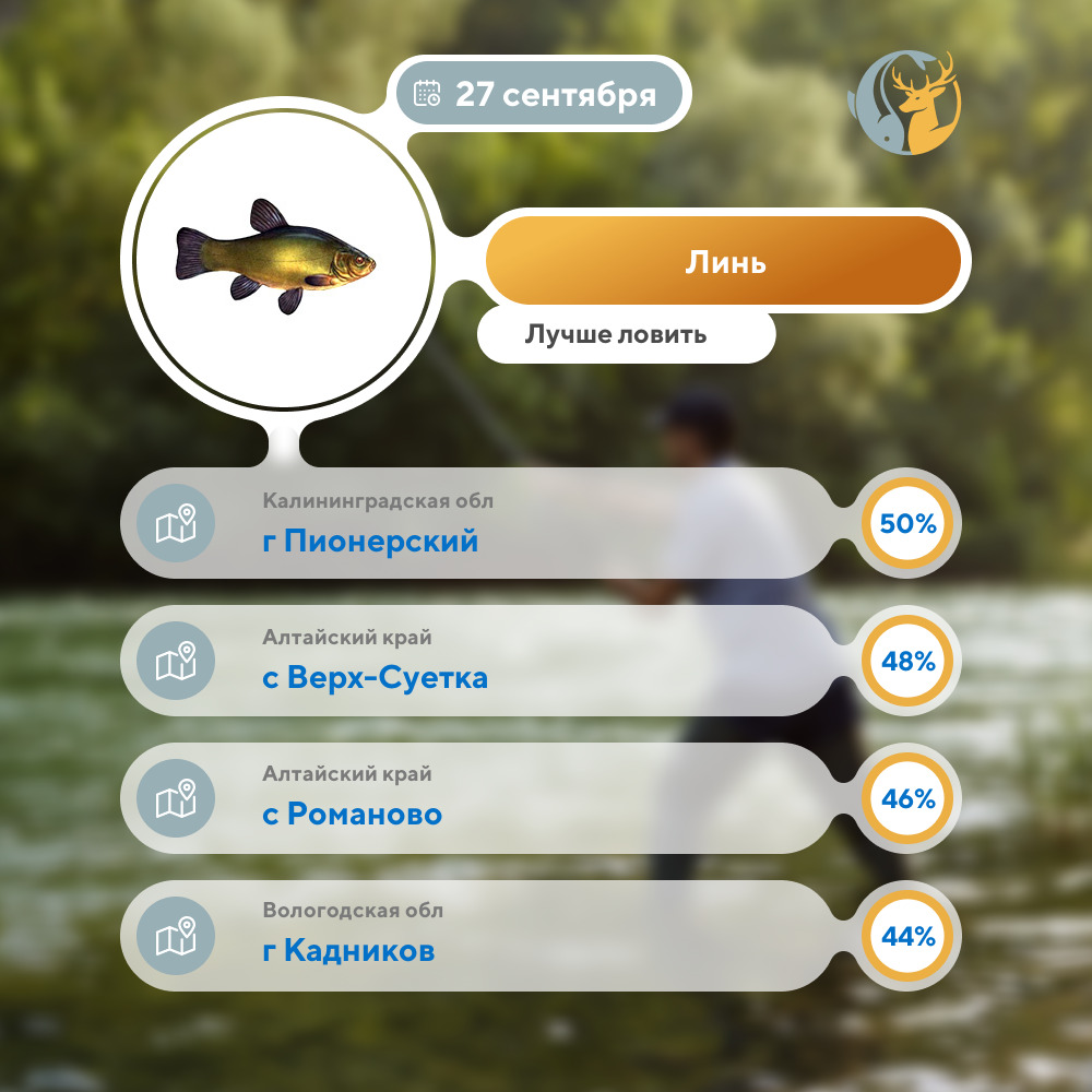 Заголовок новости