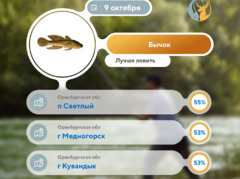 Где рыба 