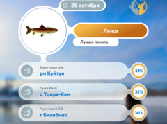 Где 25 октября 2025 года лучше всего ловить рыбу
