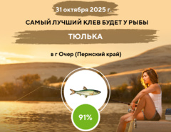 Превосходный клев на 31 октября 2025 года