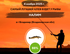 Превосходный клев на 4 ноября 2025 года