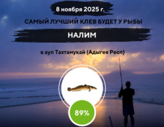Превосходный клев на 8 ноября 2025 года