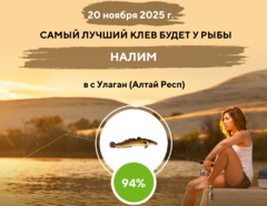 Самый лучший клев на 20 ноября 2025 года