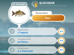 Где 22 ноября 2025 года лучше всего ловить рыбу 