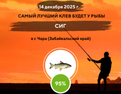 Превосходная ловля на 14 декабря 2025 года