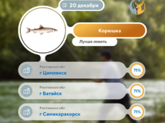 Где 20 декабря 2025 года лучше всего клюет рыба 