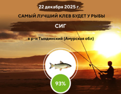 Замечательный клев на 22 декабря 2025 года