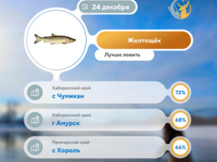 Где 24 декабря 2025 года лучше всего ловить рыбу 