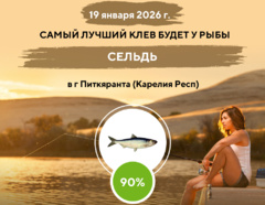 Превосходный клев на 19 января 2026 года