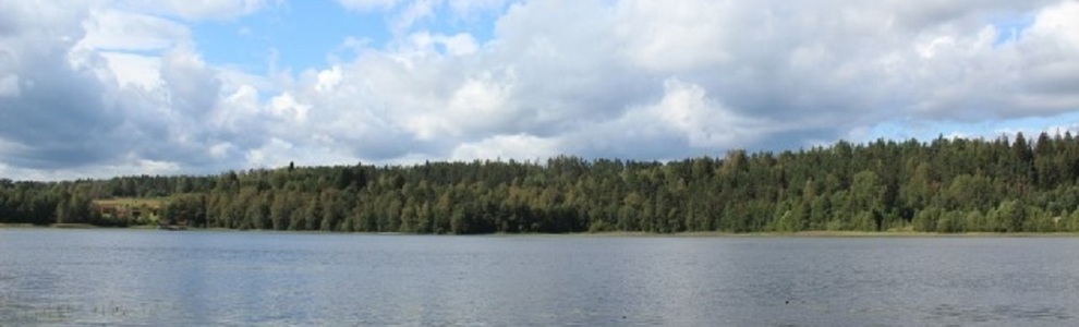 Озеро Ханка (Приморский край)