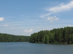 Озеро Большое Моховое (Пензенская область)